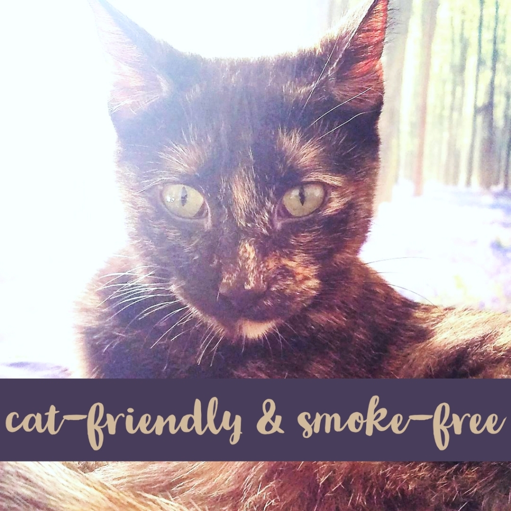 We are cat-friendly & smoke-free!